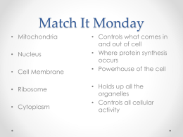 Worksheets The Virtual Cell Worksheet Answers centriole lysosomes chloroplasts mitochondrion endoplasmic organelles granbury isd