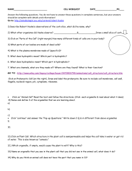 How To Write An Essay Thesis How To Write A Thesis Statement For An Essay also Write My Essay Paper Cell Biology Essay Topics Health And Social Care Essays