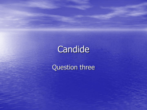 Candide - The Open Question