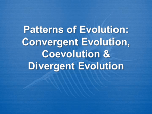 Patterns of Evolution: Convergent Evolution vs