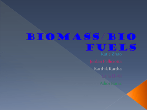 Biomass/Bio Fuels