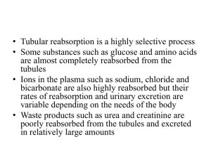 Tubular Reabsorption