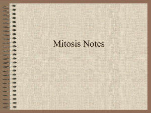 Mitosis Notes
