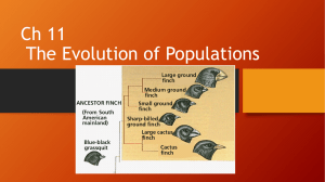 Ch 11 The Evolution of Populations