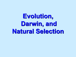 GDS_Genetics_and_Evolution