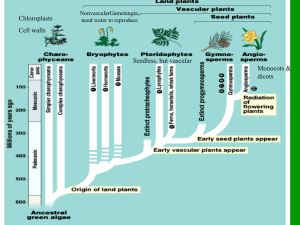 ppt-Plant Classification & Structure