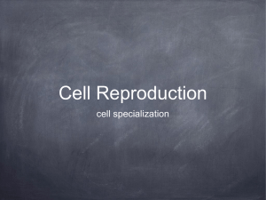 Cell Reproduction