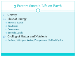 Printables Biogeochemical Cycles Worksheet biogeochemical cycles worksheet answers syndeomedia