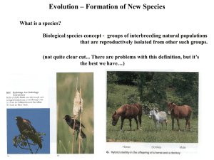 Evolution – Formation of New Species