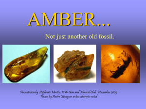mini-talk about amber - Calaverite Fine Minerals