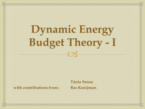 Dynamic Energy Budget Theory