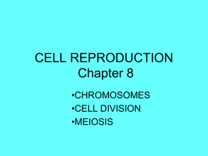 CELL REPRODUCTION Chapter 8
