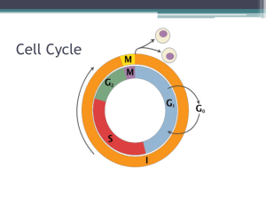 Cell Cycle - Mrs. Shelly Jackson