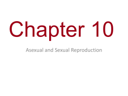 Asexual sexual reproduction essay questions