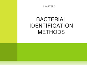 bacterial identification methods
