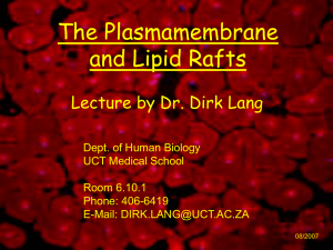 The plasma membrane and lipid rafts
