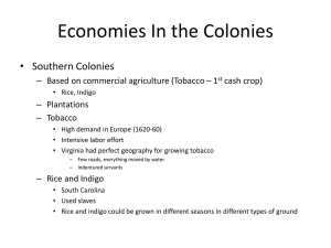 Economies In the Colonies