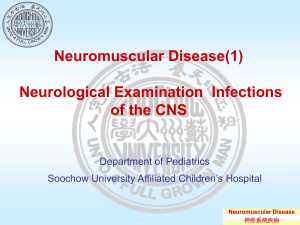 Neuromuscular Disease 神经系统疾病 Topic 2. The cranial nerves