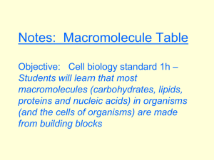 Notes: Macromolecule Table Objective: Cell biology standard 1h