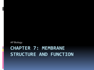 Chapter 7: Membrane Structure and Function - Pomp
