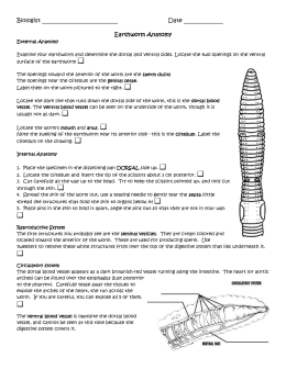 earthworm dissection packet earthworm anatomy worksheet calleveryonedaveday earthworm dissection packet earthworm anatomy worksheet calleveryonedaveday