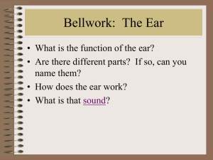 A Story About the Ear