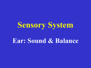 Hearing and the Inner Ear