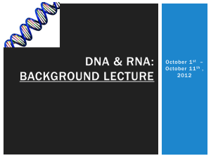DNA & rna: Background lecture