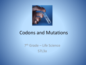 Codons and Mutations