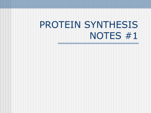 PROTEIN SYNTHESIS NOTES