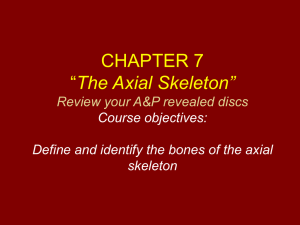 CHAPTER 7 “The Skeleton”
