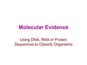 Using DNA, RNA or Protein Sequence to Classify Organisms