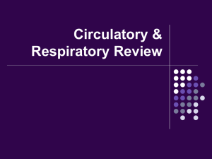 Circulatory & Respiratory Review Game