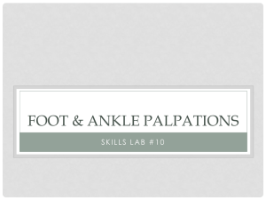 The Foot & ankle