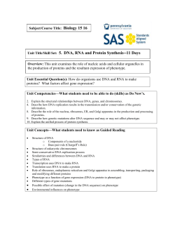 interpretive essay examples resume examples synthesis example clasifiedad com clasified essay sample english essays examples sat - Interpretive Essay Examples interpretive essay examples resume examples synthesis example clasifiedad com clasified essay sample english essays examples sat - Interpretive Essay Examples
