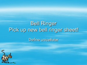 Bell Ringer Pick up new bell ringer sheet!