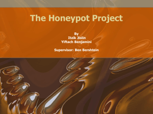 The_Honeypot - Networked Software Systems Laboratory