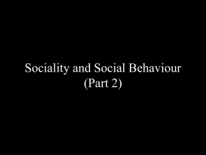 Sociality and social behaviour