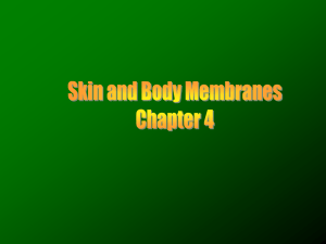 Body membranes