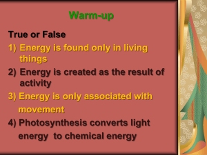 Energy Changes