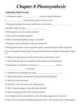 Short essay questions in microbiology