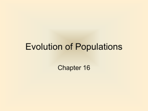 1 Chapter 16 Evolution of Populations