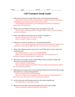 Cell And Cell Transport Study Guide Answers