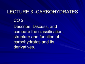 lecture 2 - carbohydrates
