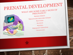 Conception & Birth PowerPoint