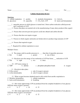 Cellular respiration essay