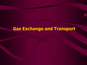 Pulmonary Gas Exchange