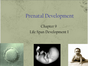 Module Three-prenatal development