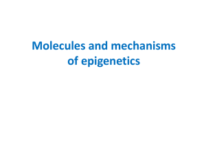 Modern definition of epigenetics is as follows: it is non