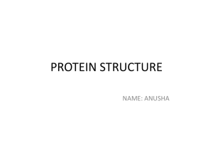 Part II (Protein Structure).